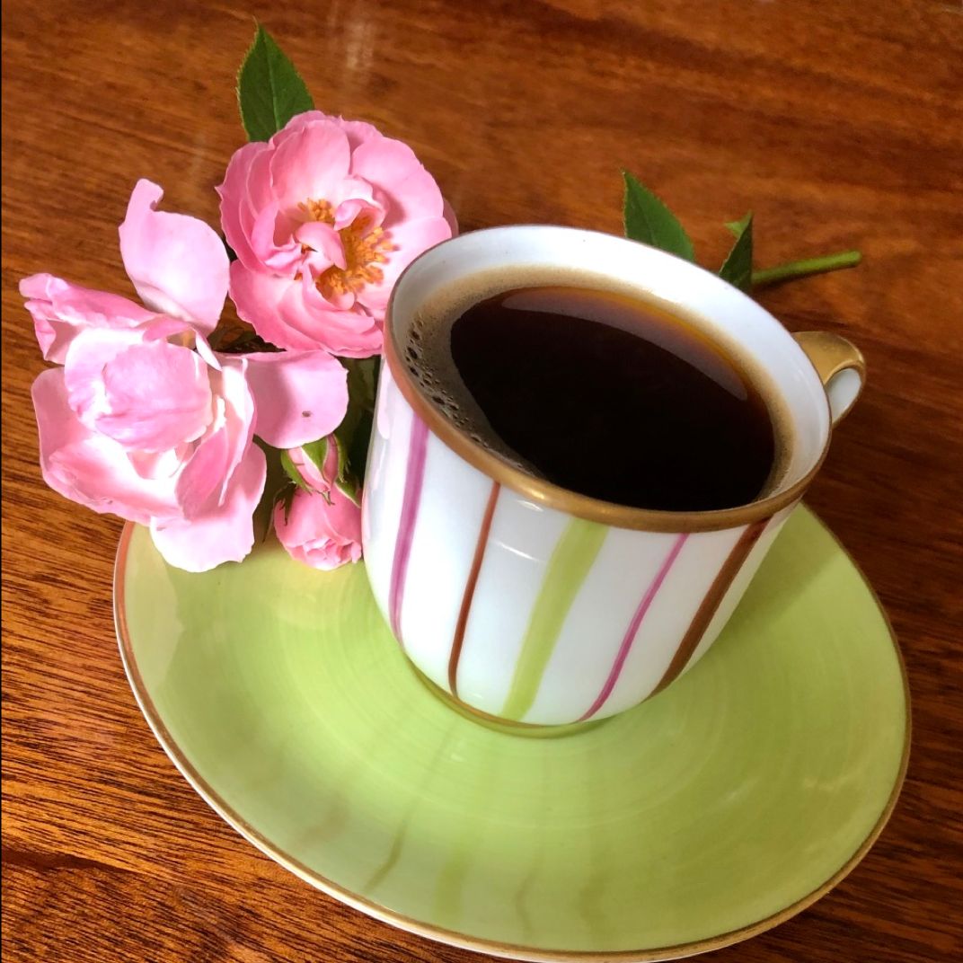 A little bit of morning sunshine! Organically-grown Breakfast Blend. This medium roast has delicate orange and grapefruit tones with a hint of sweet strawberry finish. Shop here: buff.ly/adAW5OS 

#thequeenbean #coffee #summervibes #mornings