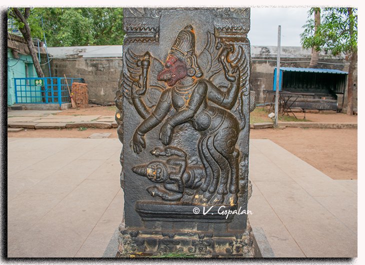 TheGopalan's tweet image. Celebrating 'Chola Week' (23rd to 27th).
Apart from the birthday of Rajendra Chola, the coronation day of Rajaraja Chola also falls in this week.
Sri Dhenupureeswarar Temple, Madambakkam, Chennai
Parantaka Chola, found a lingam between 957 & 970 CE near a lake and he built the…