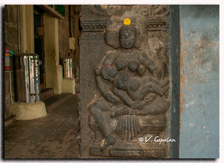 TheGopalan's tweet image. Celebrating 'Chola Week' (23rd to 27th).
Apart from the birthday of Rajendra Chola, the coronation day of Rajaraja Chola also falls in this week.
Sri Dhenupureeswarar Temple, Madambakkam, Chennai
Parantaka Chola, found a lingam between 957 & 970 CE near a lake and he built the…