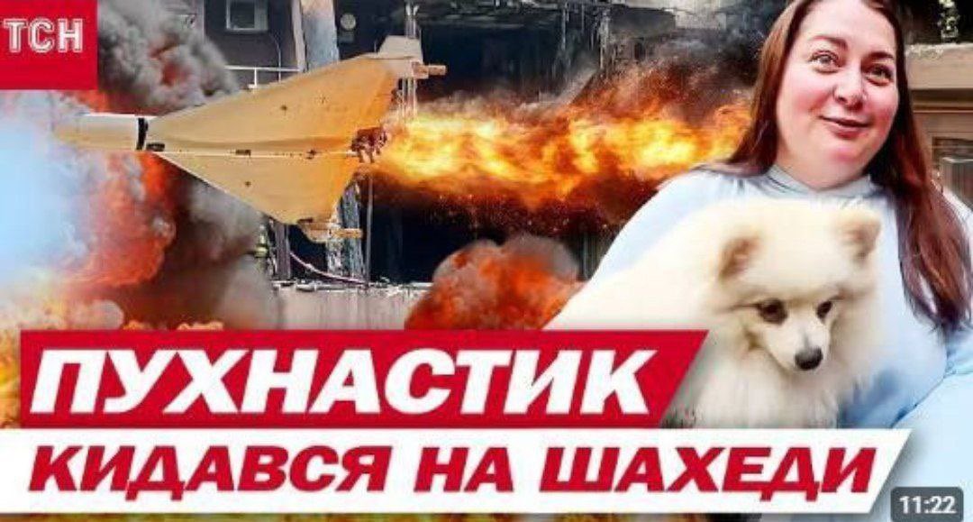 NinaByzantina's tweet image. Ukrainian media has graduated from reporting about grandmas repelling Russian attacks with pickle jars to little fluffy dogs going after Shahed drones. 😂😭
