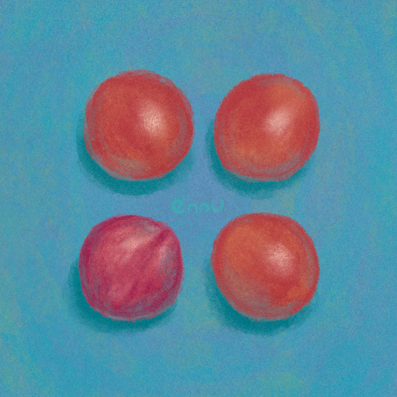 ennuance's tweet image. ミニトマトとラディッシュを描き分けてみる練習と遊び
たのしかった🍅