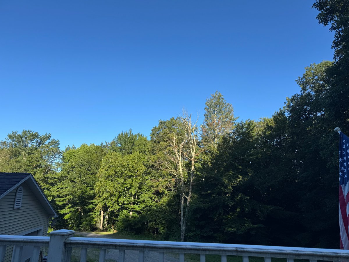 Ya know. I say all the time I said I moved to the sticks because I like being able to leak off my back porch. 

In reality I just like to sit on the porch and have a cup of coffee and listen to the world wake up.