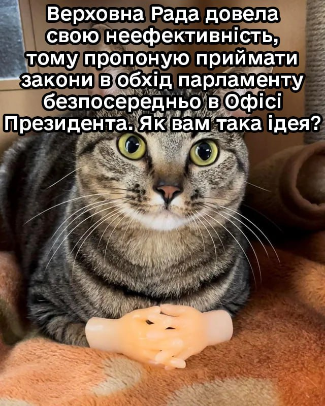 dbm_ua's tweet image. 