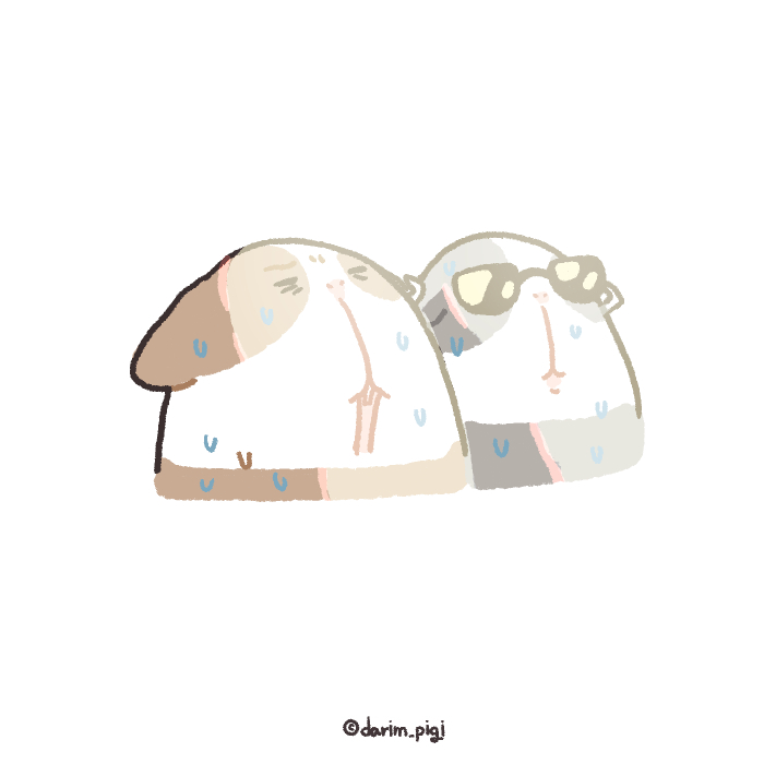 darim_pigi's tweet image. 햇살이 너무 강해요