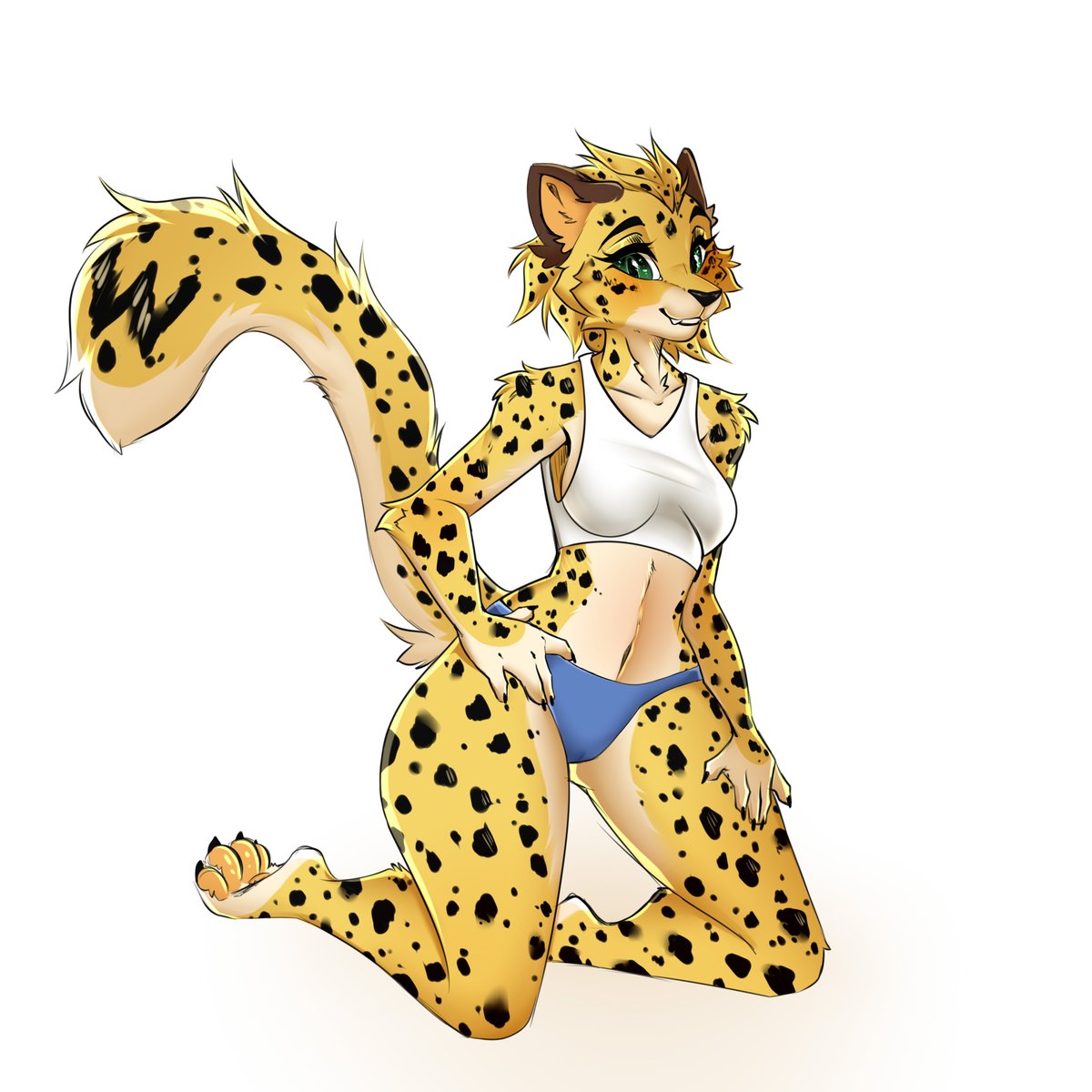 For Telegram users from the giveaway in my Telegram channel