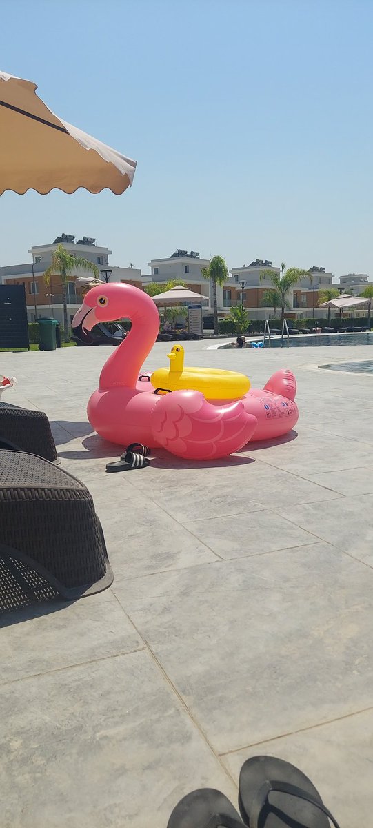 Yeni oyuncağım nasıl? Böyle böyle yüzmeyi öğrenicez.