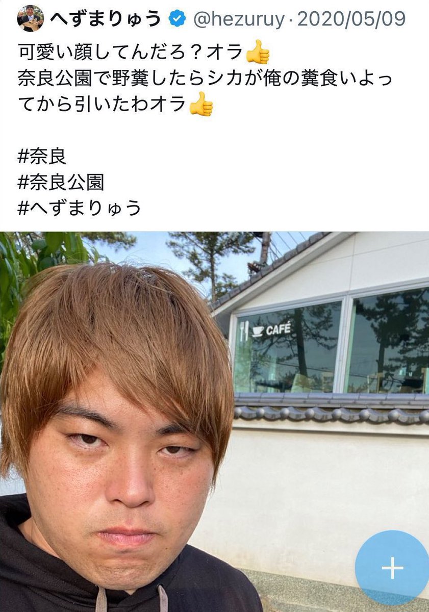 へずまりゅう双子説推してます