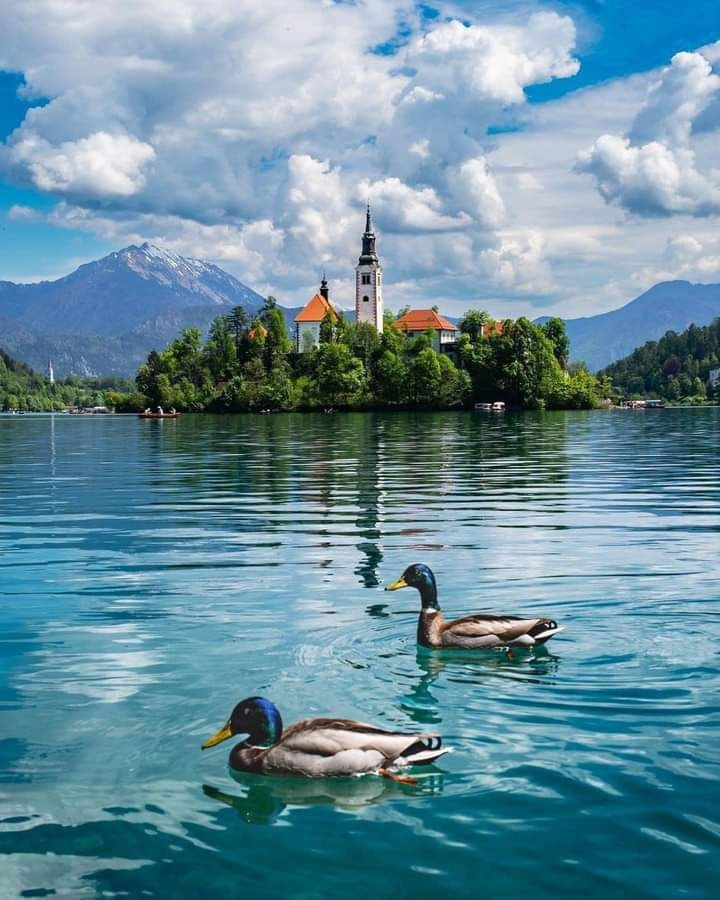 Lake Bled, Slovenia