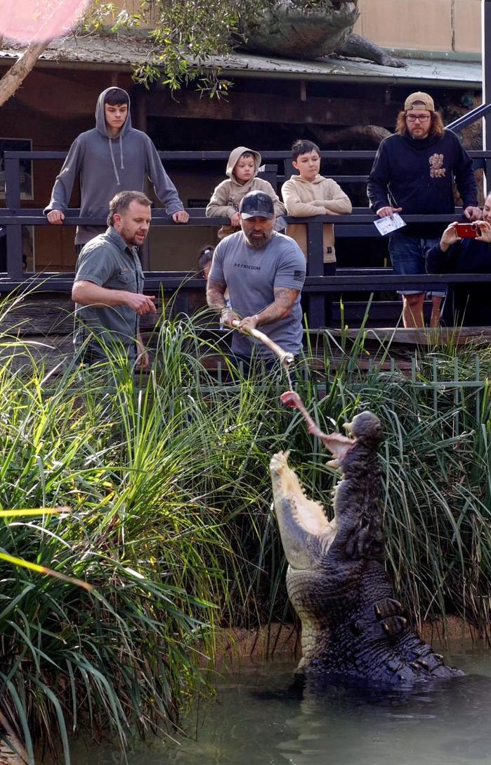 antmiddleton's tweet image. Who would you like to see on the end of this stick? 🫡🇬🇧 #6m #500kg #croc