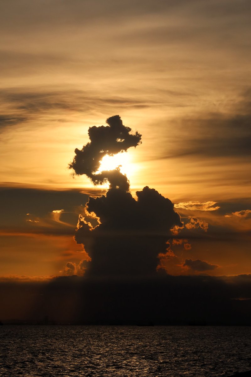 hidegii1's tweet image. #gallery_no8