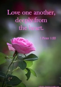 MariaSisis's tweet image. Above all, love each other deeply because love covers over a multitude of sins.
1 Peter 4:8