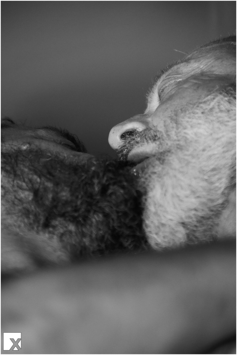 Xposed (@xposedph) on Twitter photo Continuano le avventure del nostro PornoDaddy preferito... X shooting online su onlyfans.com/x-posed
<a href="/UQuantico87529/">silvermuscledaddy</a> Continuano le avventure del nostro PornoDaddy preferito... X shooting online su onlyfans.com/x-posed
<a href="/UQuantico87529/">silvermuscledaddy</a>