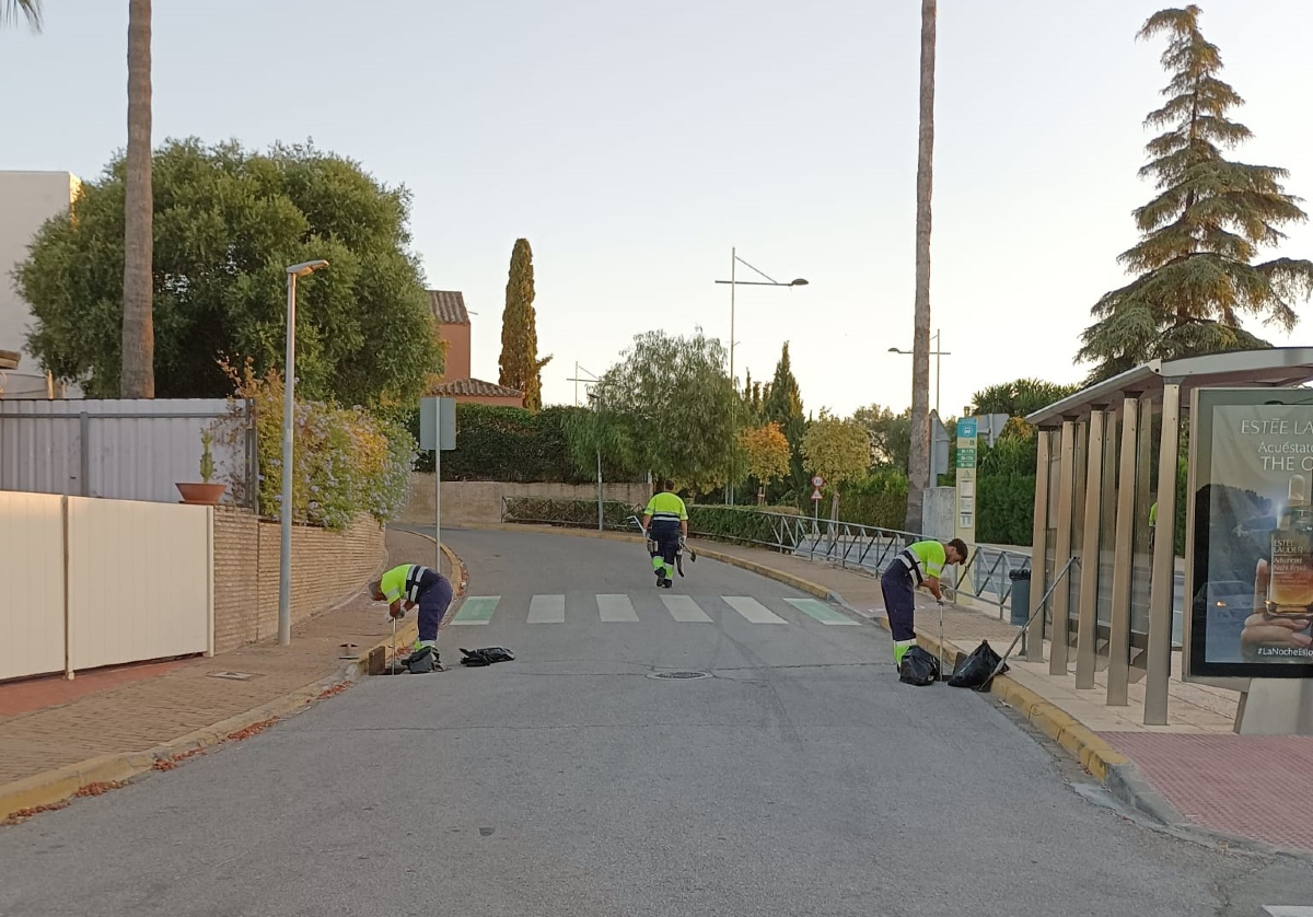 ¡Finaliza con éxito la campaña de limpieza de imbornales en #Valencina de la Concepción! Se han limpiado alrededor de 2.000 imbornales, garantizando un sistema de drenaje eficiente para la próxima temporada de lluvias. 🌧️👏 #Saneamiento #Aljarafesa #MedioAmbiente. <a href="/Ayto_Valencina/">Ayto. Valencina (Sevilla)</a>
