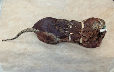 #Chesterhour  July Prize Draw for one 1lb pheasant pelt #Gundog training dummy.  to enter Repost, Like the post, tag a friend and Follow us
<a href="/horseandhoof/">Horse and Hoof</a>

ends 31/07/25 #horseandhoof #win