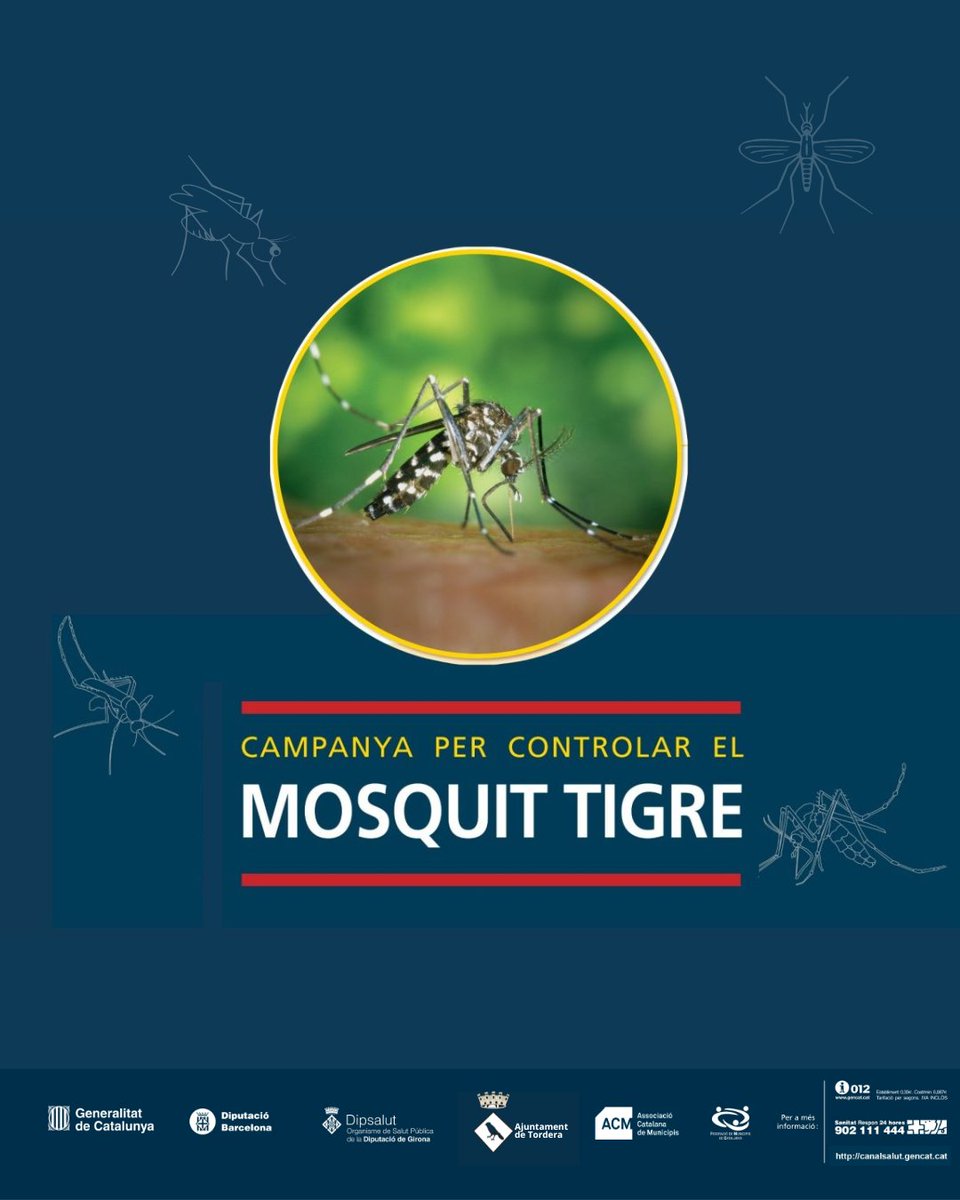 Aj_Tordera's tweet photo. 📣Des del @govern ens comparteixen tot un seguit de consells i mesures preventives contra el mosquit tigre🦟

🤝 Entre tots aconseguim reduir-ne la seva presència en el municipi.  

#TorderaInnova #Tordera https://t.co/btE2Dlcgal