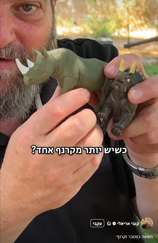 roni_eitan's tweet image. קובי אריאלי מדגים את המילה קרנפים עם קרנף, ומה שהוא בבירור טריצרטופס. ידע הציבור ויזהר.