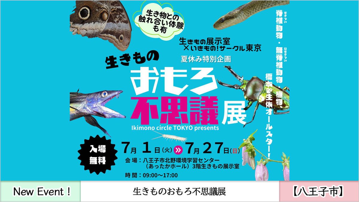 imatama01's tweet image. ⚡️【PICK UP! イマタマに登録されたイベントをご紹介】

🐾生きものおもろ不思議展開催中！東京都立大学「いきもの！サークル東京」×生きもの展示室のコラボ展示✨
国内外の生き物の不思議やうんちくを学生が紹介🦎

imatama.jp/event-page/ind…

#八王子市
#イマタマ