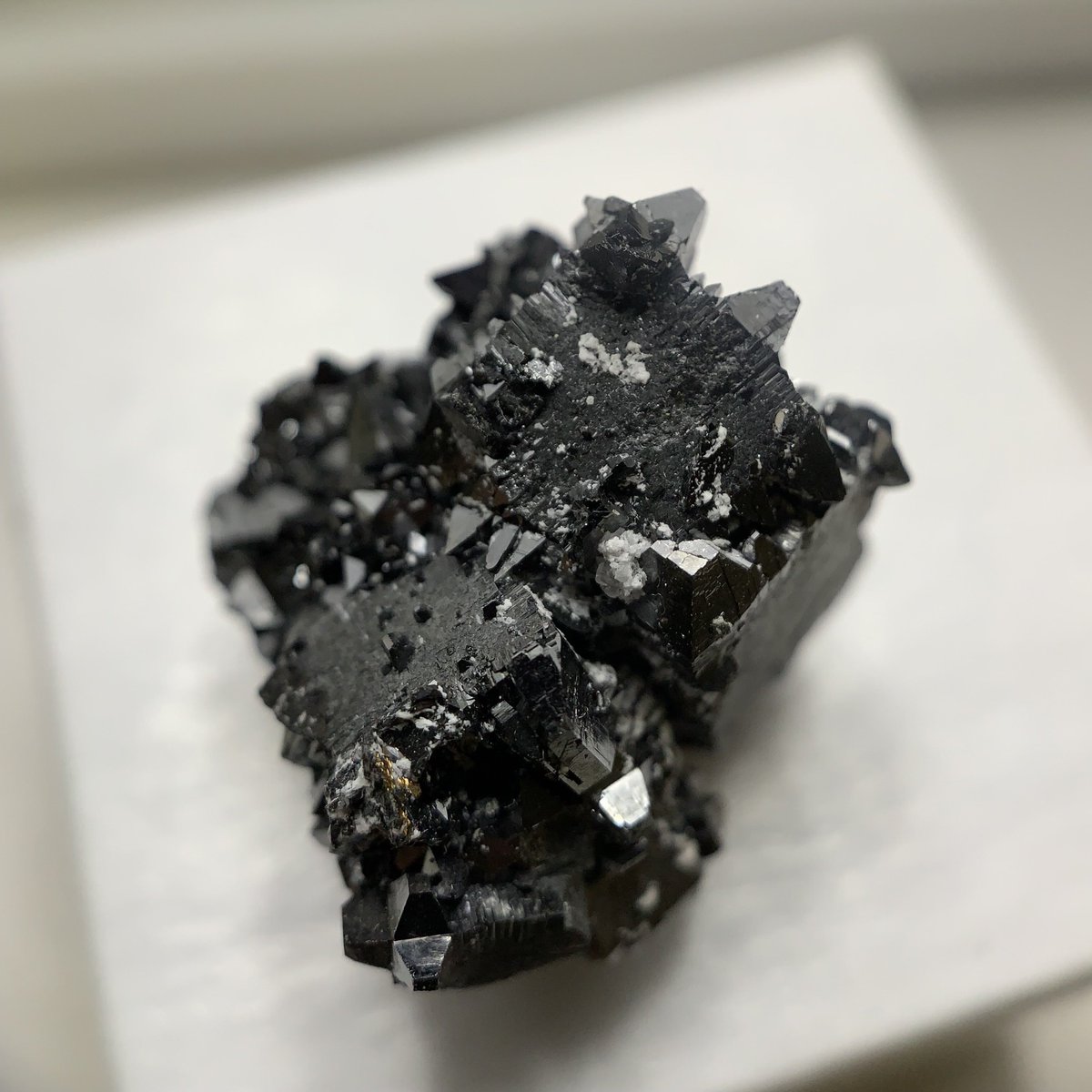 joshu_san's tweet image. 黒くて地味なやつ

Braunite with Braunite II
N’Chwaning II Mine, South Africa

#みんなで作る石沼原色図鑑