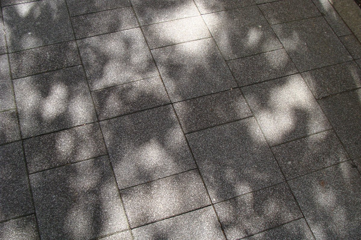 sean_dsn's tweet image. 夏のさんぽ

2025.07.21 / DSC-H3