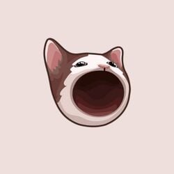 Riddler0x's tweet image. $POPCAT to $25 
we are so early for this