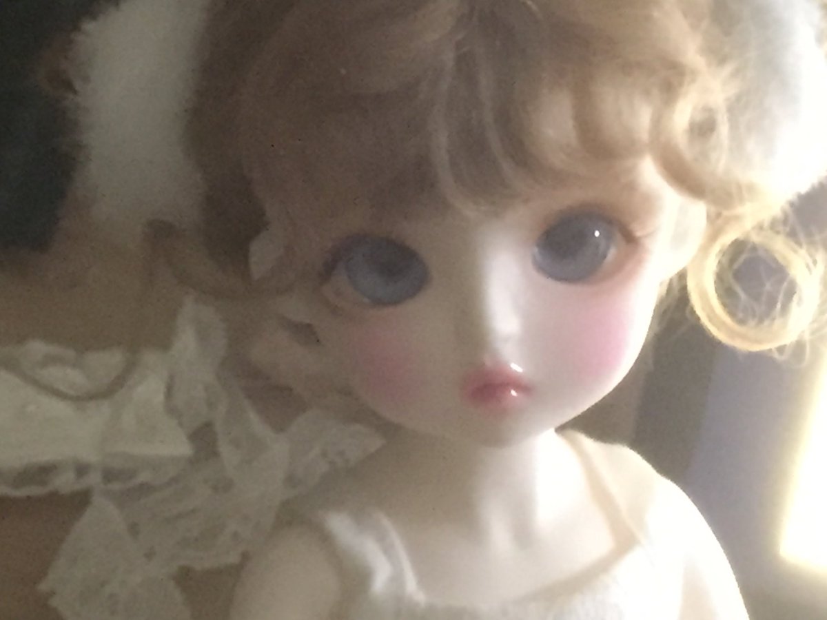 귀여운 것투성이야 ♪