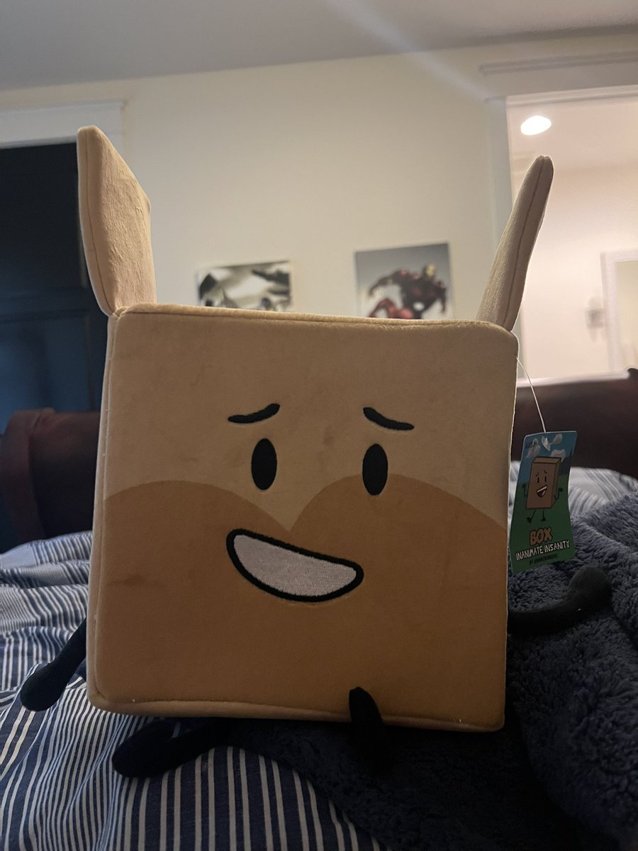 TeMthesequel's tweet image. someone should draw box as a bunny because her open flaps make her look like she has bunny ears