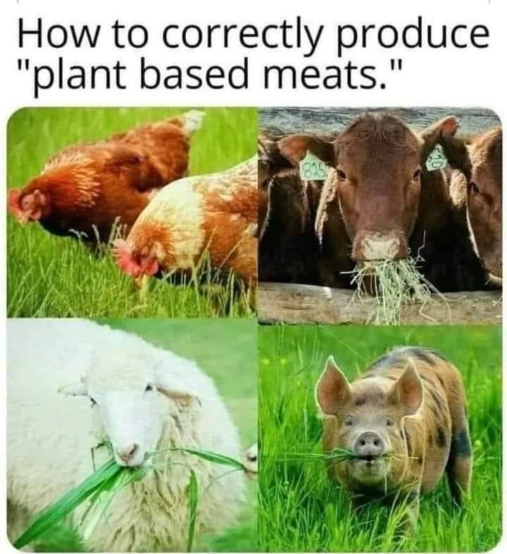 Getting ready for chicken butchering.