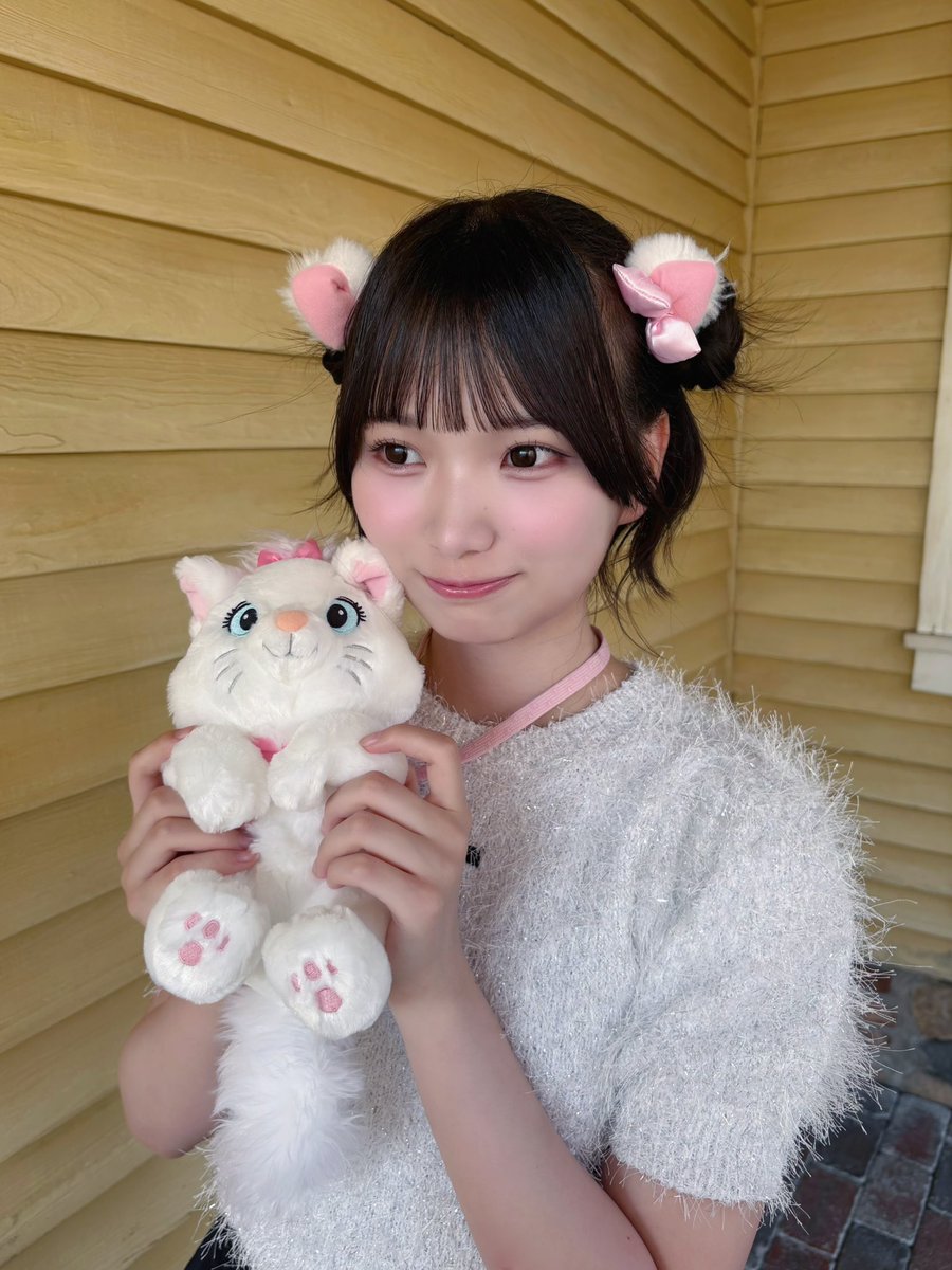 ぶちこです ちどり産業 収納ボックス テープバスケット ワイド 深型 約 幅60