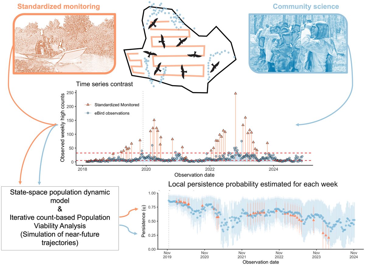JAppliedEcology's tweet image. Monitoring population extinction risk with community science data 💬
Leveraging the power of people allows estimating local persistence probability as a risk-based population viability, closely aligning estimation from standardized, systematic monitoring
doi.org/10.1111/1365-2…