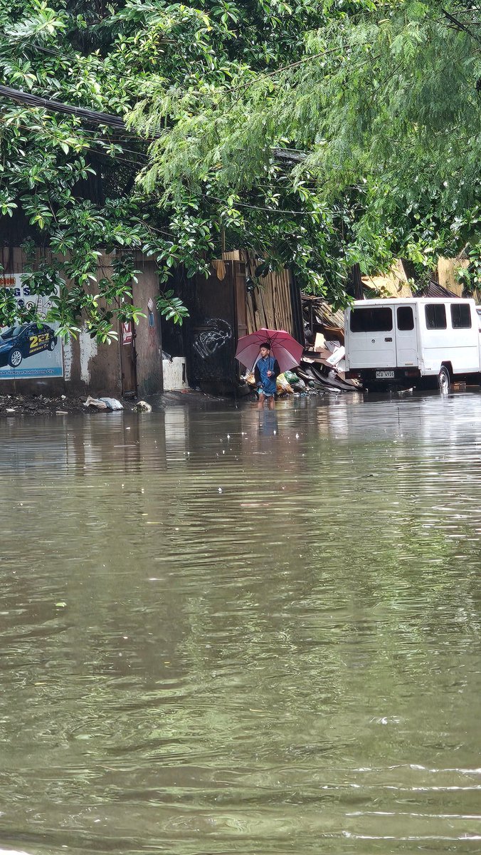 engrtrevorplusU's tweet image. It's time to stop romanticizing Filipino resiliency. We must demand better systems and policies that safeguard and protect us.

#HabagatPh #DantePH