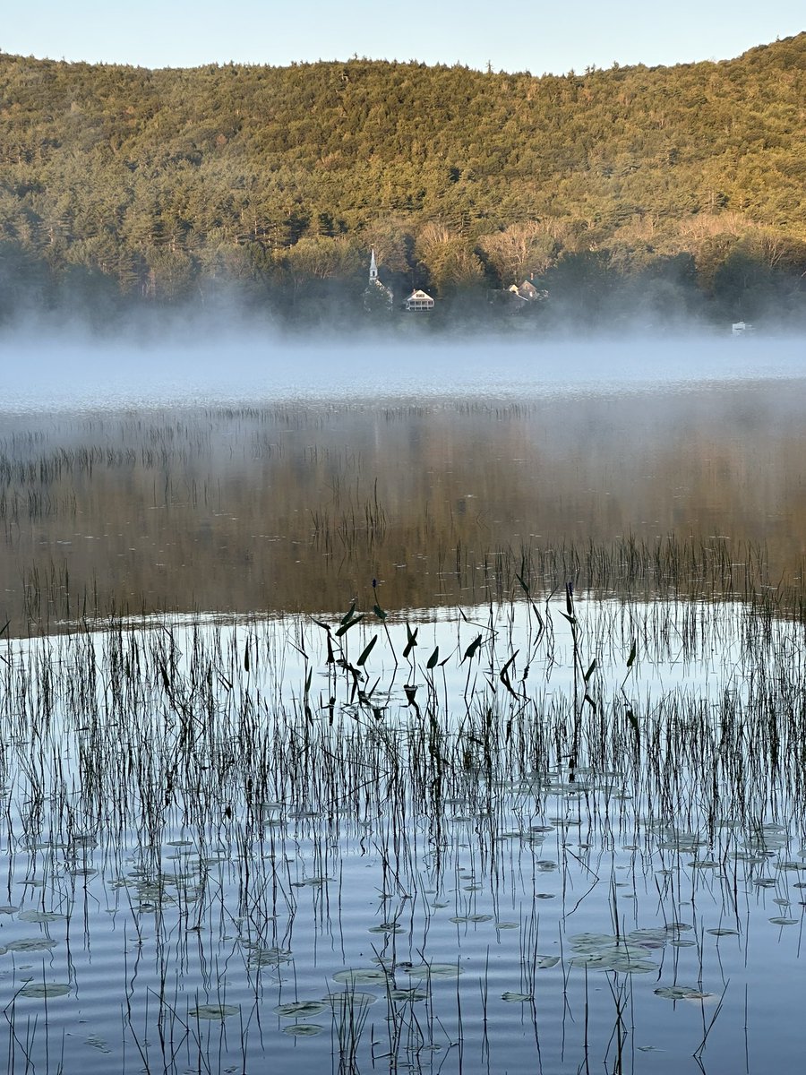 humanutopia2021's tweet image. 05:30am
Misty morning swim 
Day won 
💙💪👊🏻