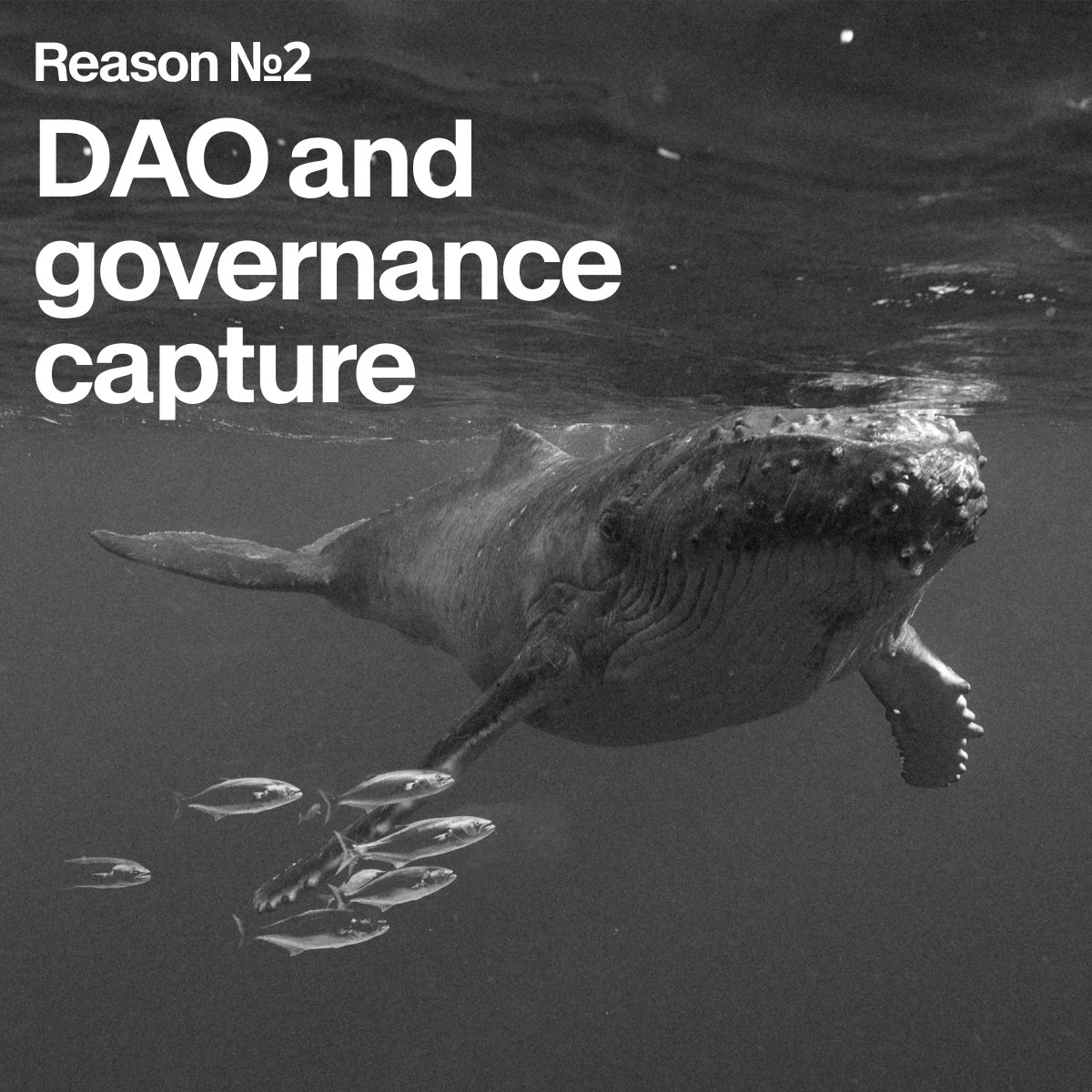 Shift DeFi tweet media