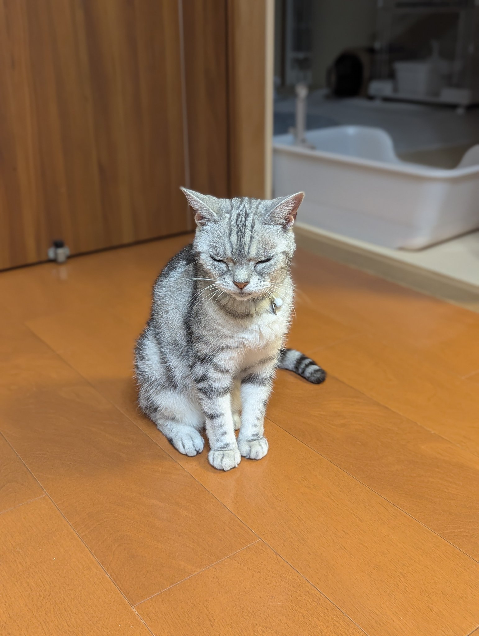 ち～ on X: 