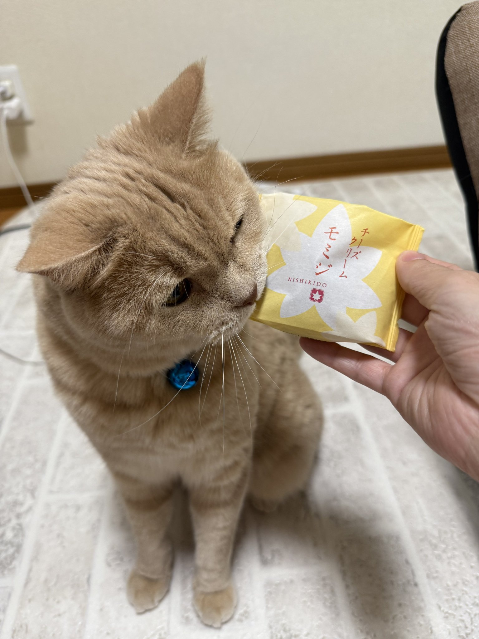 mimi様❣️専用ページ x.com/_nHase/status/1863289460659564742 | Facebook