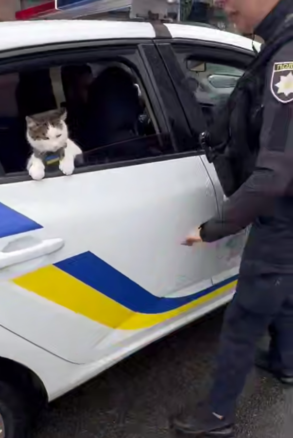 OutPolice's tweet photo. https://t.co/eA7H8QKFW4