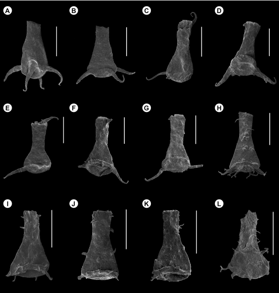Paleopalinologia y Paleoecologia Vegetal - IANIGLA (@palino_ianigla) on Twitter photo Check on these beauties!!
Middle Devonian chitinozoan assemblages of northwestern Argentina and southern Bolivia sciencedirect.com/science/articl…
<a href="/SoniaCamina/">Sonia Camina</a> and collaborators (Claudia and Vicky from our group💪)
<a href="/ianigla/">IANIGLA - CONICET</a> <a href="/RPalaeoboPalyno/">Review of Palaeobotany and Palynology</a> #Palynology Check on these beauties!!
Middle Devonian chitinozoan assemblages of northwestern Argentina and southern Bolivia sciencedirect.com/science/articl…
<a href="/SoniaCamina/">Sonia Camina</a> and collaborators (Claudia and Vicky from our group💪)
<a href="/ianigla/">IANIGLA - CONICET</a> <a href="/RPalaeoboPalyno/">Review of Palaeobotany and Palynology</a> #Palynology