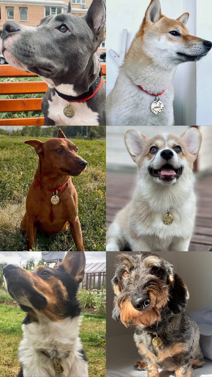 меня посетило вдохновение и это тот самый пост: РОЗЫГРЫШ АДРЕСНИКА для вашего 🐈‍⬛🐕! 

ручная работа, металл, чеканка, адресник на нержавеющем кольце, а значит держится крепко и информация не стирается никогда

победителей будет два! ✌🏻

условия: ретвит ↩️ до 26.07 12:00 и всё!