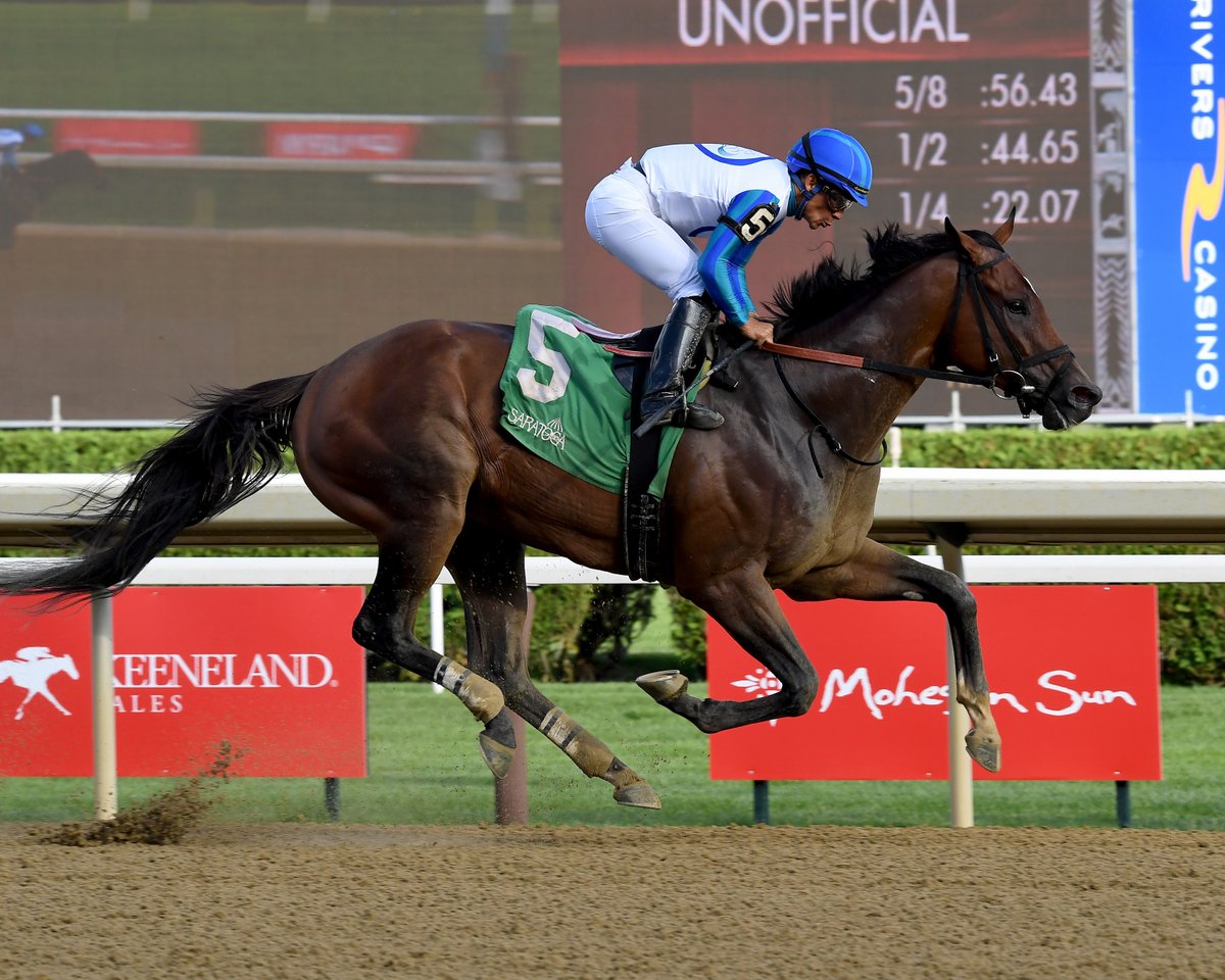 New Jersey-breds (@njbreds) on Twitter photo Eclipse Award? Breedersā Cup Sprint Win? As Hot as Bookāem Danno is, why not? Thanks <a href="/BillFinley3/">Bill Finley</a> njbreds.com/eclipse-award-⦠Eclipse Award? Breedersā Cup Sprint Win? As Hot as Bookāem Danno is, why not? Thanks <a href="/BillFinley3/">Bill Finley</a> njbreds.com/eclipse-award-ā¦