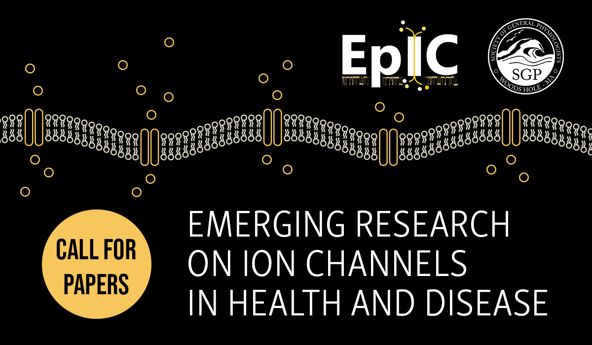 JGenPhysiol's tweet image. 📣#CallForPapers 📣 on the topic of the inaugural in-person Electrophysiology and Ion Channel (EpIC) meeting, “Emerging Research on Ion Channels in Health and Disease” – w/ Guest Editors Jelena Baranovic, Osama Harraz, Conor McClenaghan, &amp;amp; Lejla Zubcevic 👉hubs.la/Q03y2ggP0