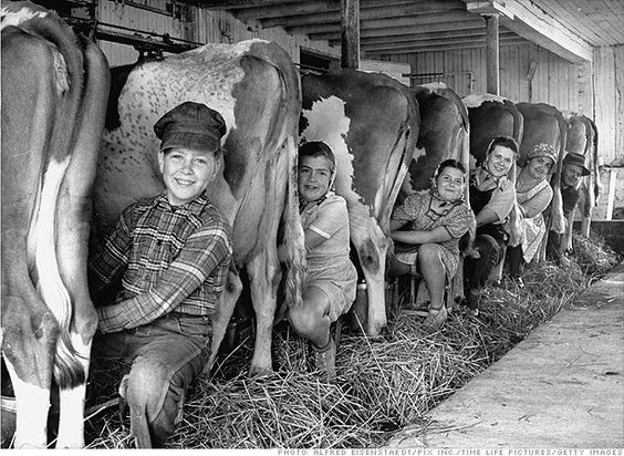 HistoryUnd's tweet image. A family of six milking the cows. Photo by Alfred Eisenstaedt.