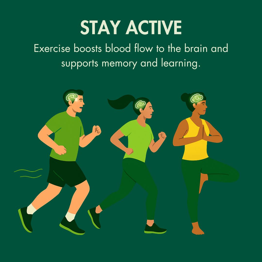 🧠 Today is World Brain Day — a reminder to prioritize the powerhouse behind everything we do. At Balt, we’re proud to support innovation that advances neuro health every day. Let’s keep our brains active, nourished, and connected. #WorldBrainDay