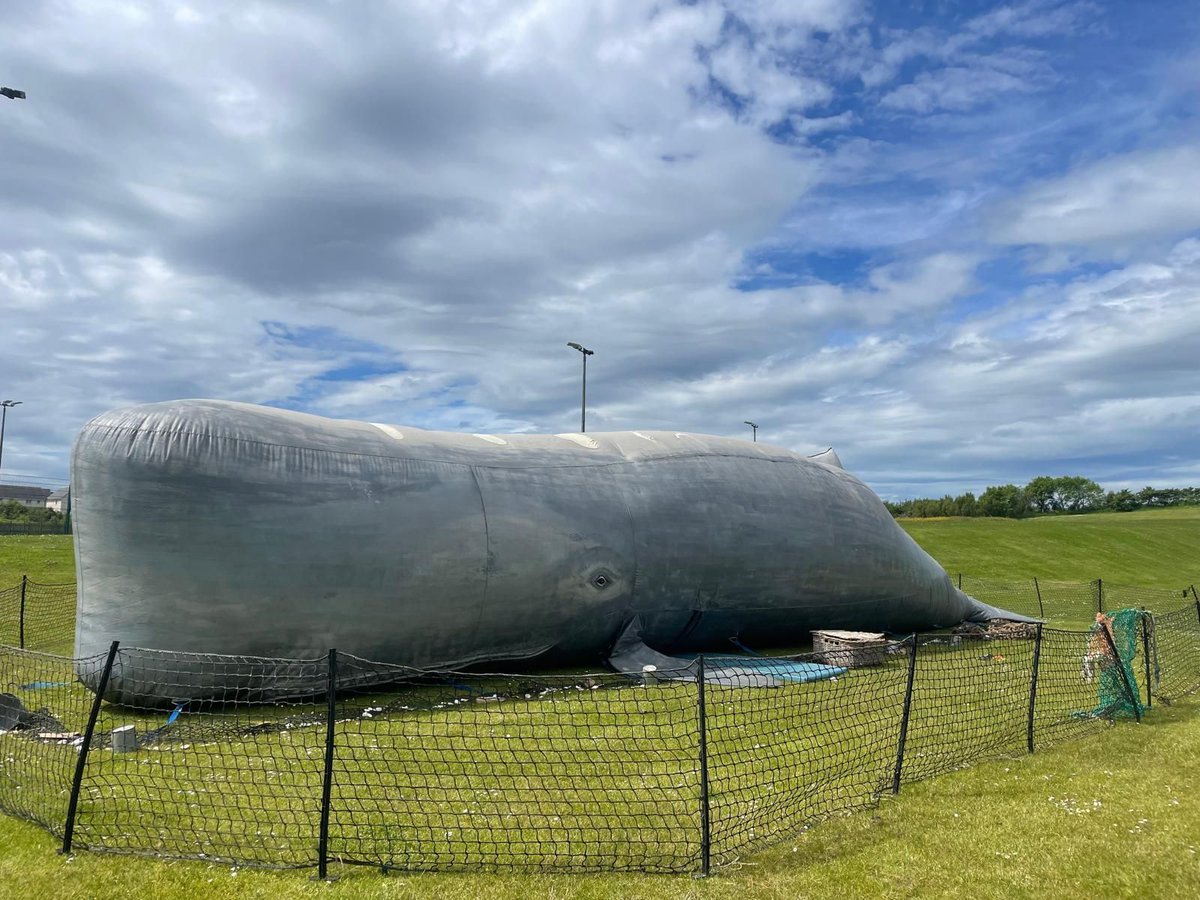 helenmaguiremp's tweet image. Epsom’s unique arts venue, The Horton, will open its gardens for the first time this summer for a season of theatre, family events, and music beginning on 29 July. 🙌
From the dramatic spectacle of The Whale – an 18-metre inflatable creature hosting a theatre show inside its…