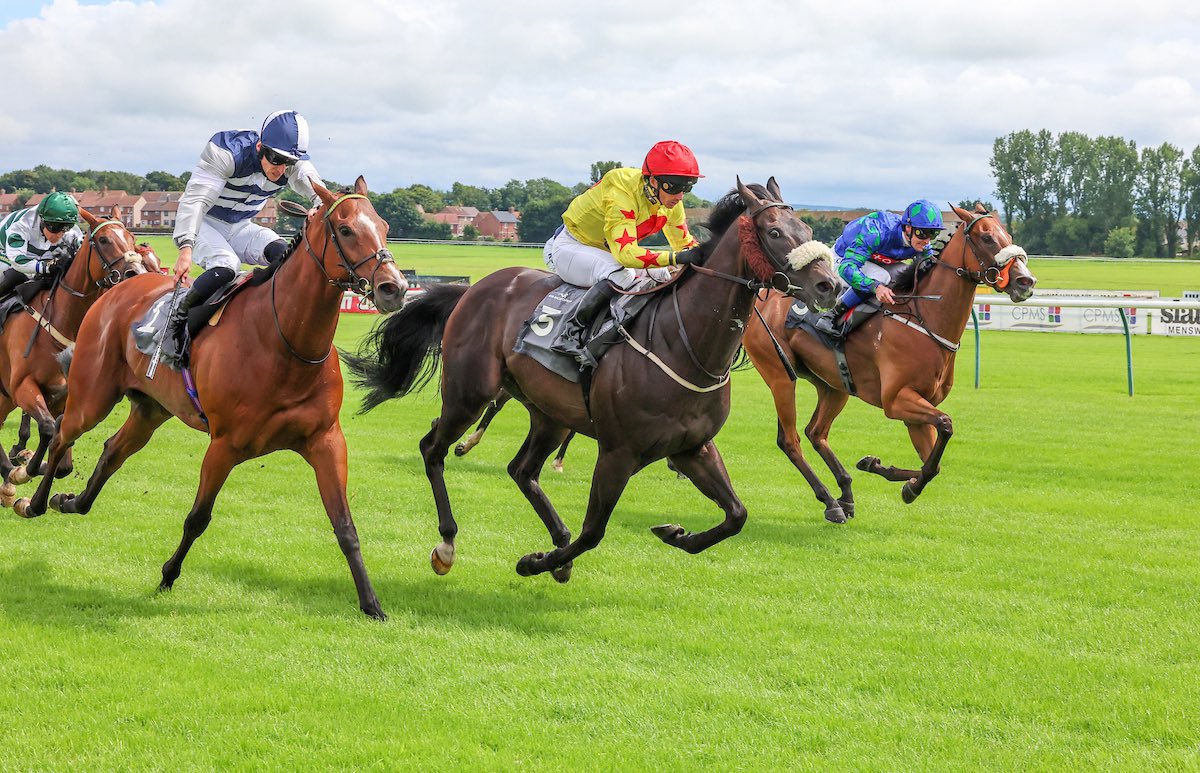 Tim Easterby Reality Partners (@tde_syndicates) on Twitter photo The old boy DANZAN wins at Ayr under a super ride by David Allan 🍾🥂🏆. The Bronze Cup winner in 2022 was back in the winners enclosure at Ayr! He dug deep and was the syndicate’s 150th winner! #TimEasterby #RealityPartners The old boy DANZAN wins at Ayr under a super ride by David Allan 🍾🥂🏆. The Bronze Cup winner in 2022 was back in the winners enclosure at Ayr! He dug deep and was the syndicate’s 150th winner! #TimEasterby #RealityPartners