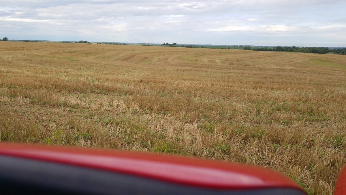 My irrigated wheat averaged around 108 bu/ac on 40# of applied nitrogen. My calculations indicated that I needed 50# of N, but the pump under-applied the fertilizer. Split shots of 20# put on at F6.5 &amp; F8. 4 inches of water were used on this crop.