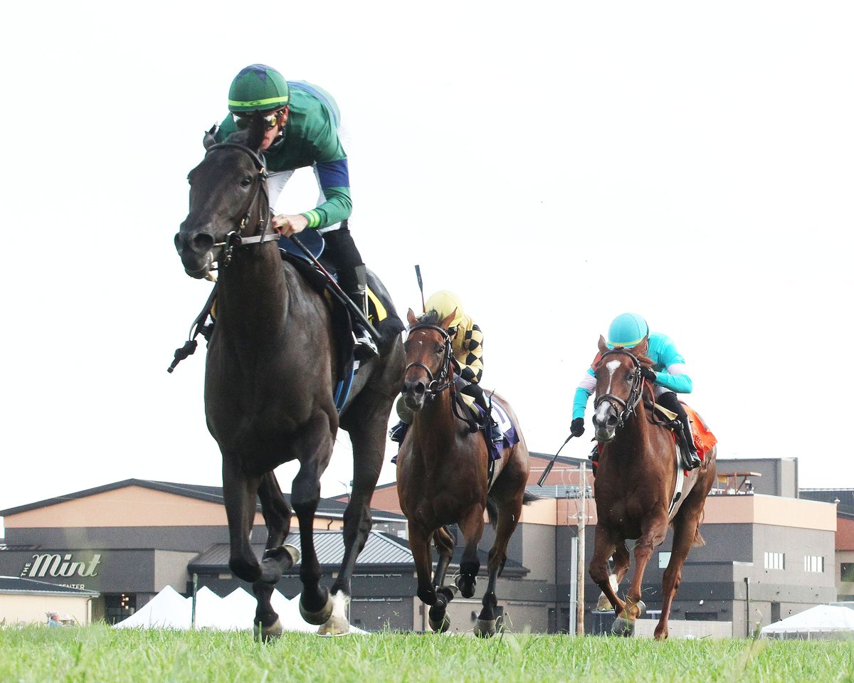 KYDownsRacing's tweet image. Noms out for @EllisParkRacing's #KYDowns Preview Weekend! 7 stakes Aug 2-3 worth at least $250K w #KTDF (G3 Pucker Up $400K, Turf Cup prep $300K). Winners get fees-paid spot in KyDowns stakes. Probables inc Austere (winning '23 KyD Juv Fillies w @Tyler_Gaff in @coadymediaUSA…