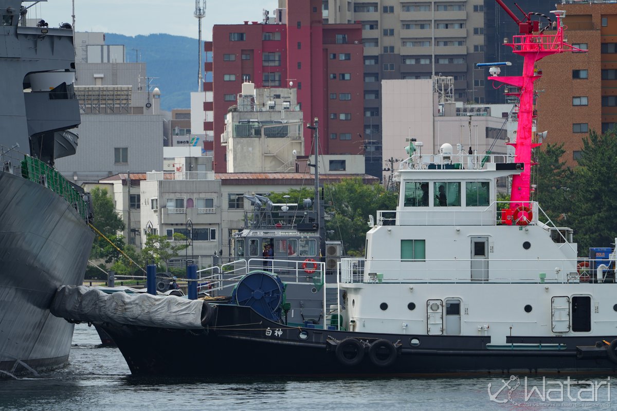 ddk121_ygm's tweet image. 2025/7/18
・YT11 曳船11号
大湊港務隊
・タグボート白神
青森タグボート㈱
青森港新中央埠頭
護衛艦むらさめ、てるづきの入港支援を行う様子。
青森港常駐タグが再び1隻となった為、艦艇寄港の際は久々に官民協力体制となった
#海上自衛隊
#支援船
#青森港