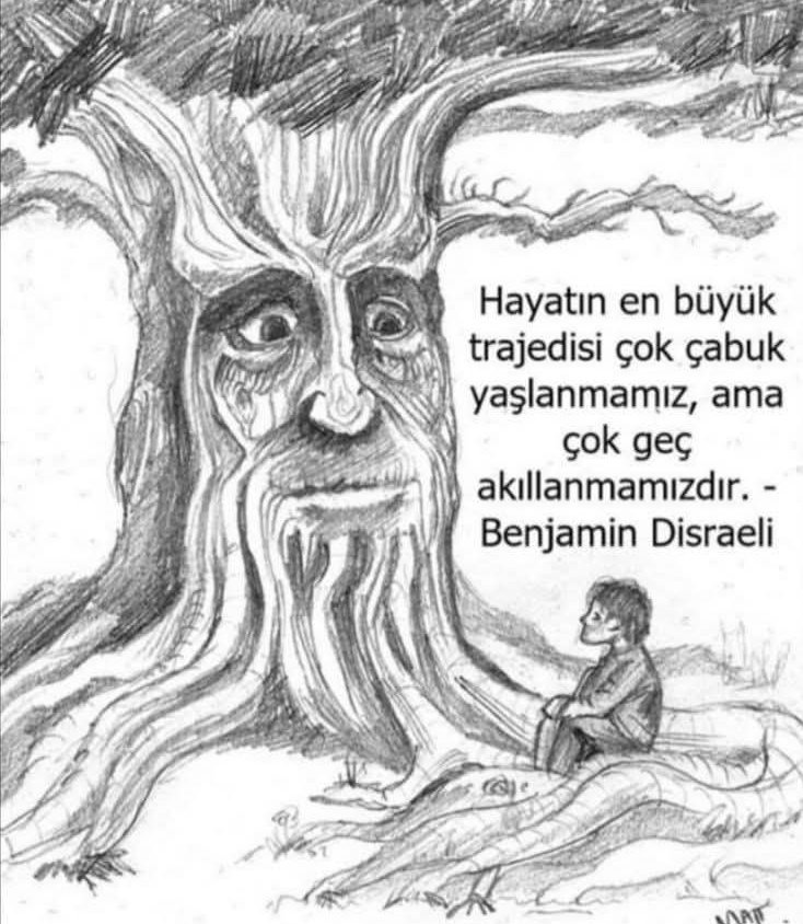 Kimisi 70 yaşında yaşlanır.
Kimisi 50, kimisi 30, kimisi 20, yaşında yaşlanır .
Yaşlanmanın...
Kesinlikle kimlikteki tarihle ilgisi  yok, ne yaşadığınla ve nerede yaşadığınla ilgisi yok..!!!