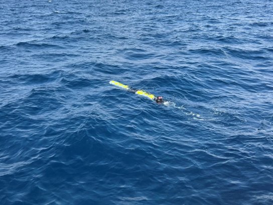RoyalNavy's tweet image. A big step forward...
The #RoyalNavy has been undertaking ground-breaking trials to demonstrate the launch and recovery of uncrewed underwater vehicles launched through a Astute-class submarine's torpedo tube.
Read more: royalnavy.mod.uk/news/2025/july…
