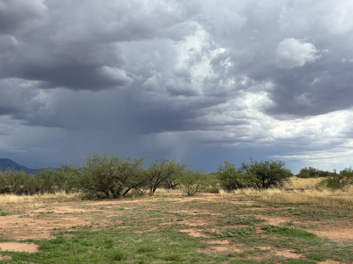 Truthexplorer74's tweet image. Good morning from Arizona. Wonder what surprises the government will throw at us today.