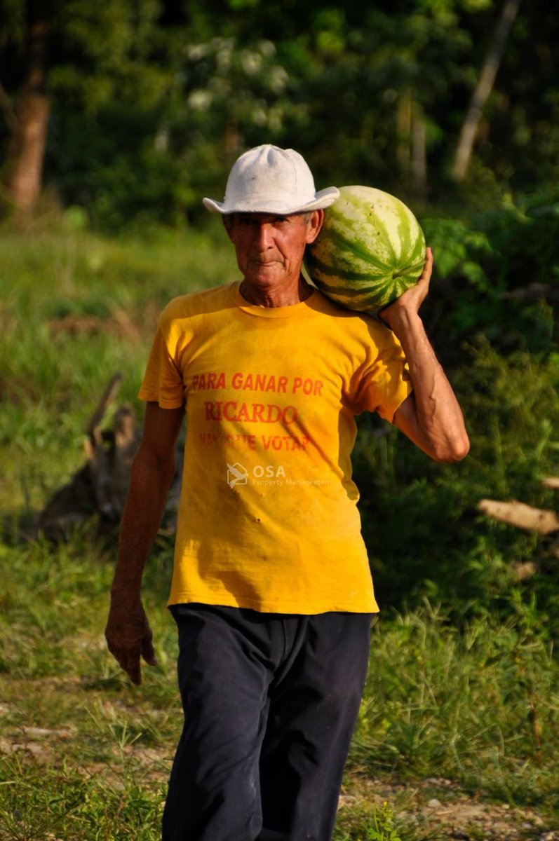 nairndavid_'s tweet image. The people of Nicoya are 7× more likely to live to 100 than Americans.
No supplements. No pills. No biohacks.
Just ancestral wisdom.
So I wanted to find out why...
Here’s how the nicoyans are living longer (and better) than most Americans: 🧵